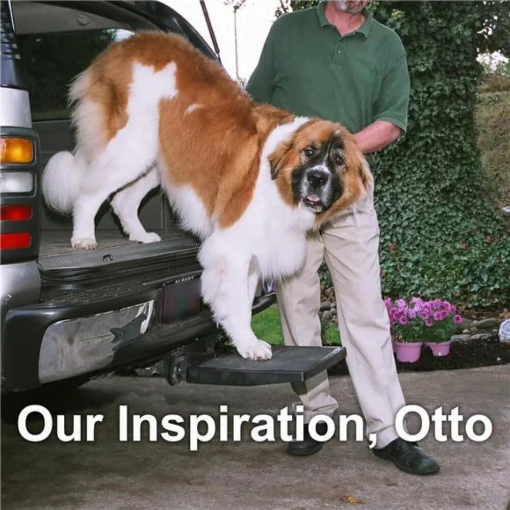 Pet RampStep Helps Dogs Getin & Out of Car Van SUV|Portable Lightweight Dog Ramp